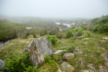 River among green hills in the fog. Foggy summer day. Nature of the Pyrenees. La Rhune mountain, Basque country, France