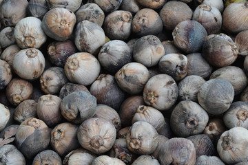 The coconut fruit is placed on the floor.