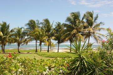 Guadeloupe / Gwada / Kleine Antillen