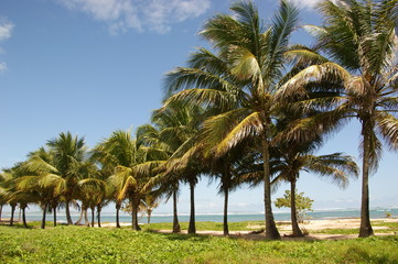 Guadeloupe / Gwada / Kleine Antillen