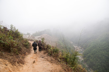 霧がかる山道