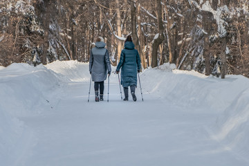 A rear view of two women are doing Nordic walking with Nordic walking poles in a park in winter