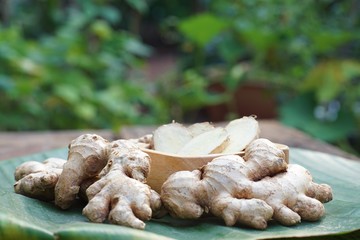 Fresh ginger root and ginger sliced on green leaf background on wood table background, tropical herb concept