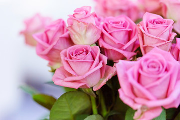 Obraz premium bouquet of pink roses