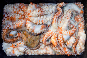 A lot of big raw octopus.  Concept-traditional Greek food on the holiday Clean Monday, healthy food, longevity, Mediterranean diet. Selective focus.