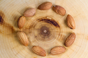 Almond on wood background