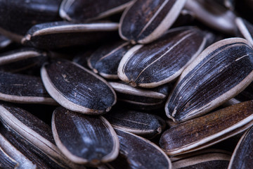 Sunflower seeds on a wooden background