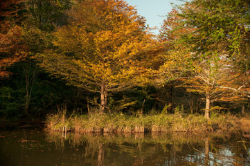 兵庫県・池沼の風景