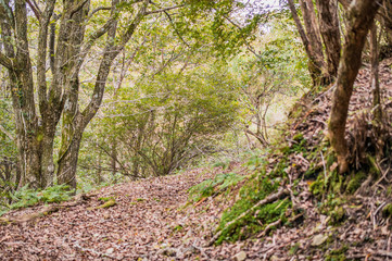 砥峰高原イメージ・中世日本、峠越えの道