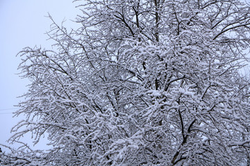 Winter park in snow frosty highway lane line