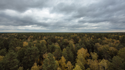 Beautiful woods all around. Ecology is the right way.