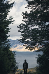 Hiker walking in the woods overlooking a lake