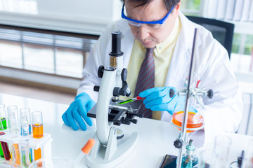 The scientist test new product by test tube in health sciences, life sciences and chemistry experiments.