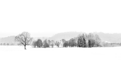 Panorama Winterlandschaft monochrom im Nebel