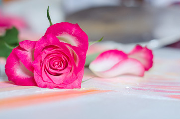 Pink rose in the shape of a heart on a blurred wooden background.
