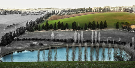 Art nature, Colours or black and white?