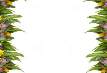 Pink flowers. Frame with rose flowers and tulip. Easter, spring concept. Flat lay, top view