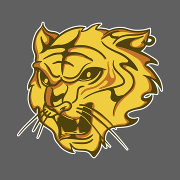 yellow head tiger tattoo isolated