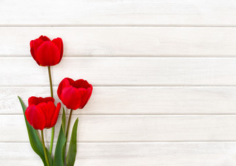 Decoration of Mothers day. Beautiful red tulips on background of white painted wooden planks with space for text. Top view, flat lay