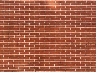 New red brick wall with white joints texture background