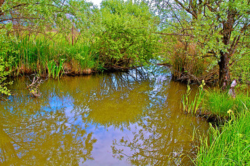 ETANG BRENNE