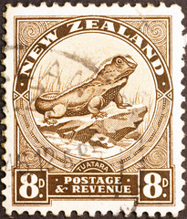 Lizard Tuatara on New Zealand stamp of 1936