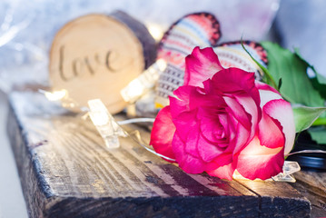 Pink with white rose with a wooden inscription love.