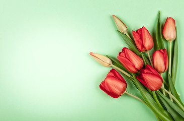 Beautiful red  tulips flowers for holiday.