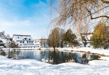 Park mit Weiher und Schwänen in Isny im Schnee