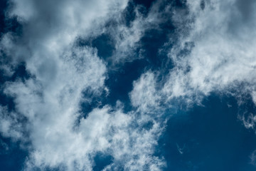 Obraz premium 青空