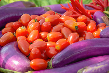 Tomato , eggplant purple and red chilli The native vegetation of Thailand