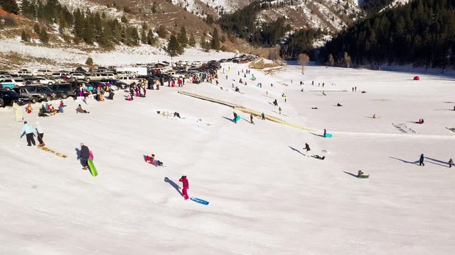 Large group of people sledding in the snow onto Tibble Fork in American Fork Canyon Utah during the winter.