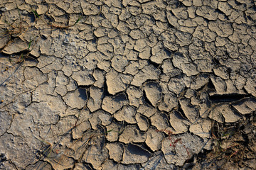 Climate warming dry chapped land