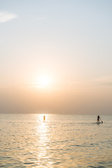 Naklejka na ściany i meble Stand up paddle board at sunset on the Phu Quoc beach Vietnam,travel concept,beach activity,Person stand up paddle boarding at dusk beautiful sunset colors