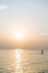 Fototapeta premium Stand up paddle board at sunset on the Phu Quoc beach Vietnam,travel concept,beach activity,Person stand up paddle boarding at dusk beautiful sunset colors