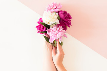 Top view of floral composition of beautiful pink rose flower in woman hand on white and pink background, flat lay, copyspace