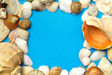 Fototapeta premium Concept of the summer with sea shells on the blue color paper texture background. Template, summer card .The view top. Copy space.