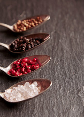 Spices and salt assortment on metal spoons