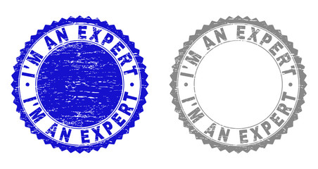 Grunge I'M AN EXPERT stamp seals isolated on a white background. Rosette seals with grunge texture in blue and grey colors. Vector rubber watermark of I'M AN EXPERT text inside round rosette.