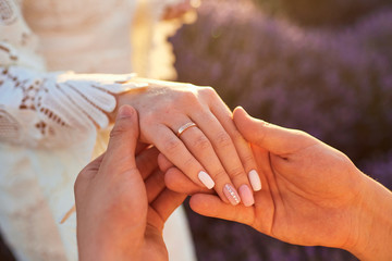 Marriage proposal in a field of lavender.