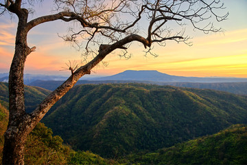 Fototapeta premium Mountain valley and tree branch at sunset sky : Nam Nao, Phetchabun, Thailand