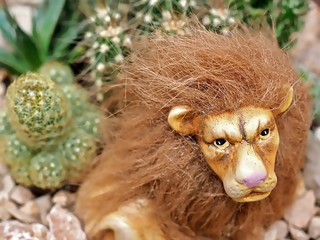 Ceramic lion for decoration in front of Cacti