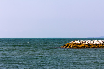 Beach front and sea wall with various items in the distance