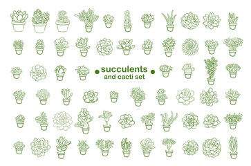 Set of and drawn line succulent plant isolated on white background. Vector illustration