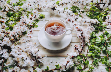 Cup of green tea and spring apricot blossom on a vintage wooden background. Rustic concept.
