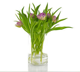 vase with pink tulips on white background insulated