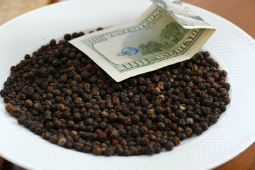 black peppercorns in plate and 100 usd dollars,