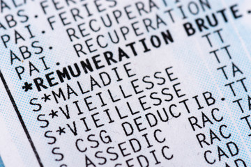 Bulletin de paie français avec cotisations sociales (maladie, vieillesse, CSG, Assedic,...) Gros...