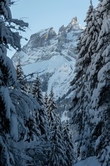 Fototapeta na wymiar Landscape of Alps mountains in winter