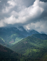 Obraz na płótnie Canvas Cloudy mount Giewont and green forest in summer, Poland